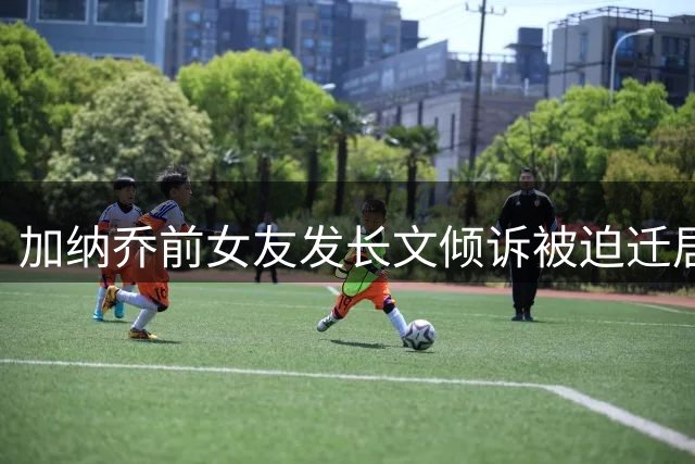 加纳乔前女友发长文倾诉被迫迁居之痛：为儿子重建家园
