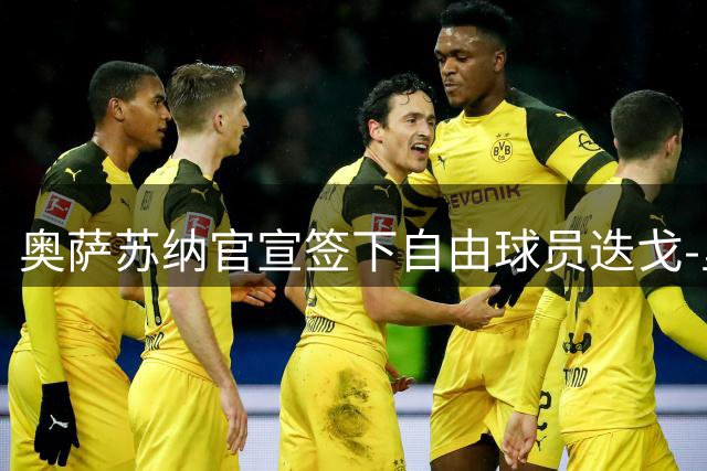 奥萨苏纳官宣签下自由球员迭戈-里科 合约为期一年